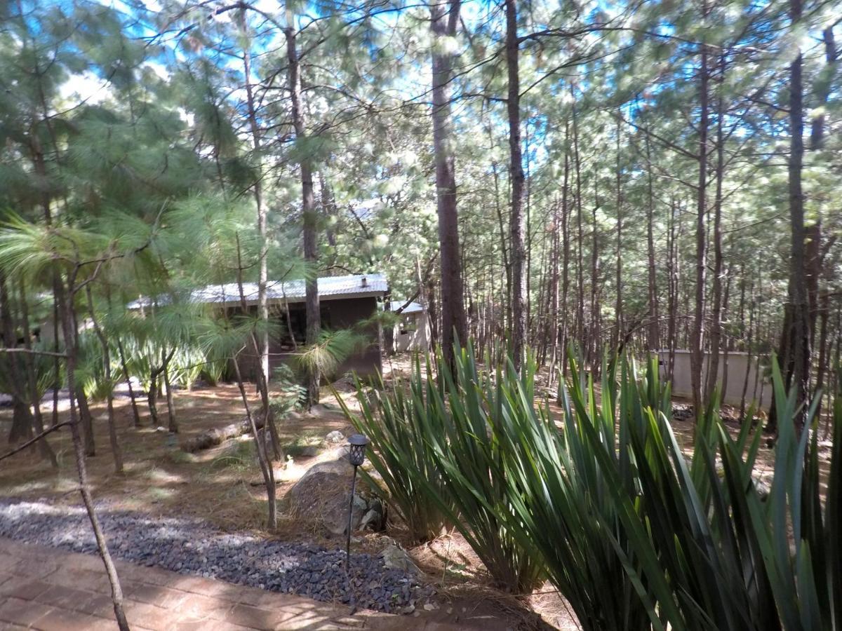Vila Rincon De Maria Mazamitla Exteriér fotografie