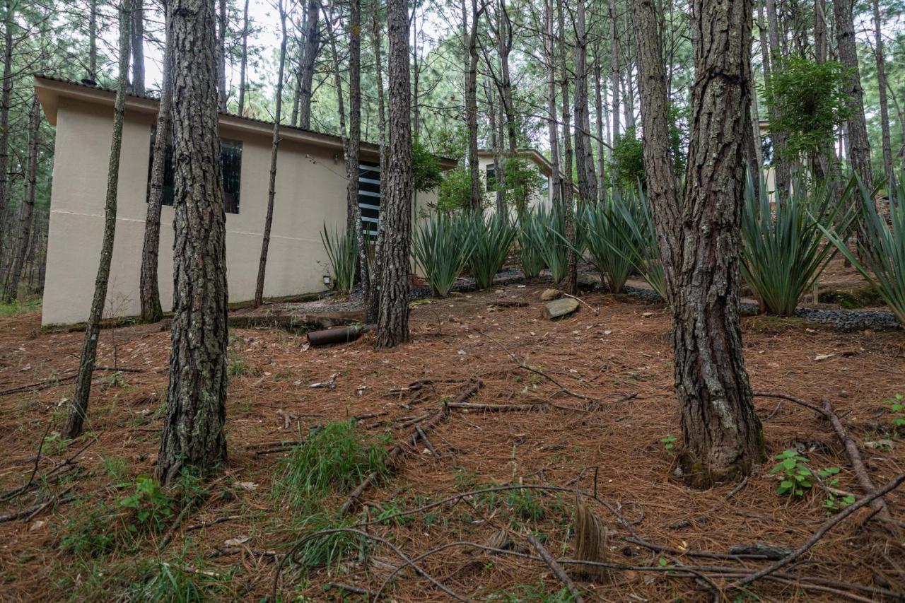 Vila Rincon De Maria Mazamitla Exteriér fotografie