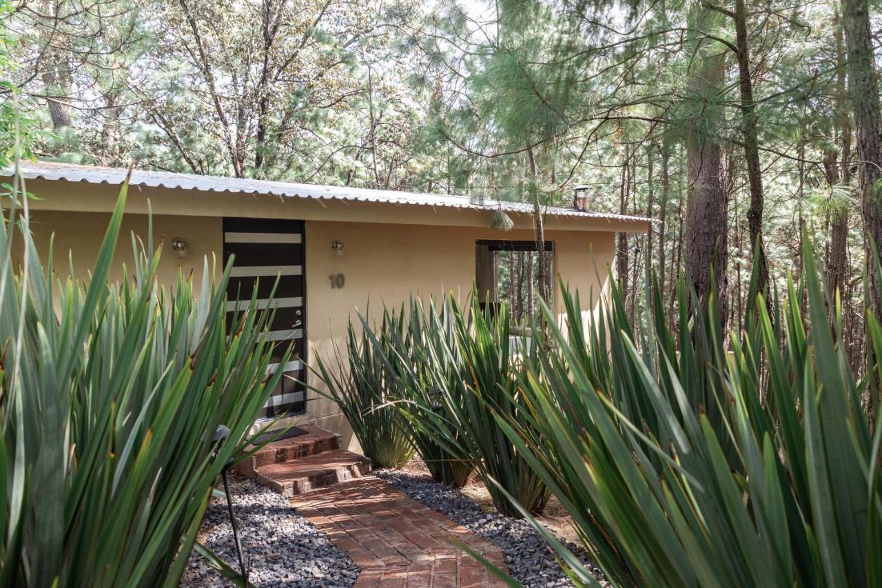 Vila Rincon De Maria Mazamitla Exteriér fotografie