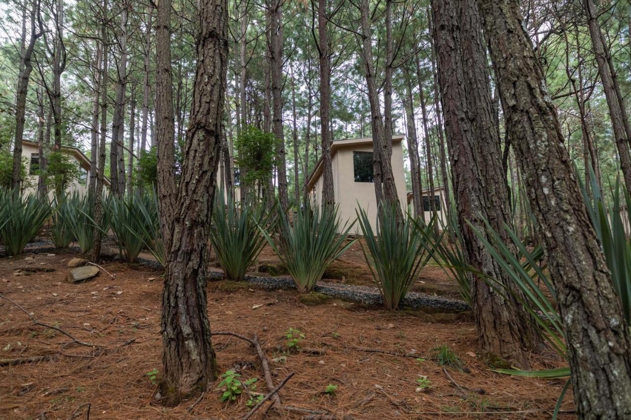 Vila Rincon De Maria Mazamitla Exteriér fotografie